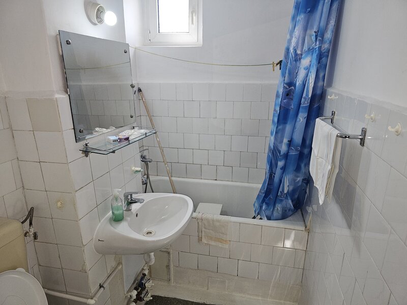 Emil Racovita, Berceni.